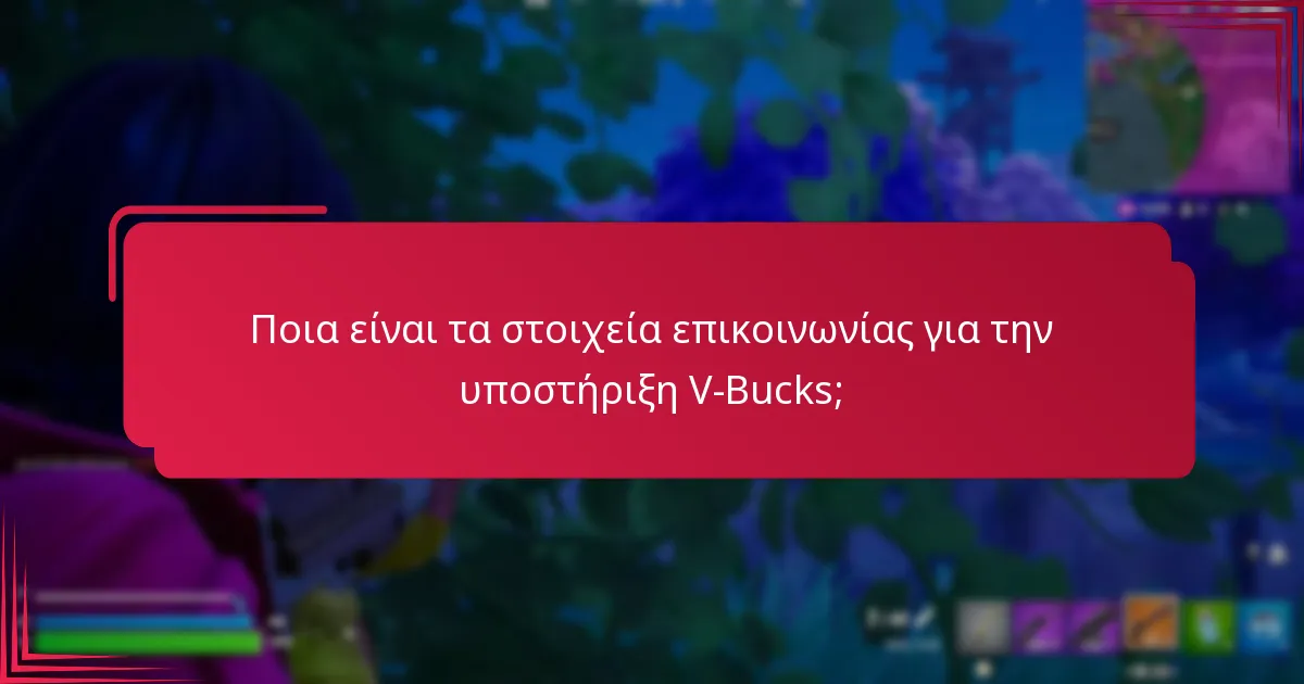 Ποια είναι τα κοινά προβλήματα που αντιμετωπίζονται κατά τη διάρκεια της διαδικασίας επιστροφής;